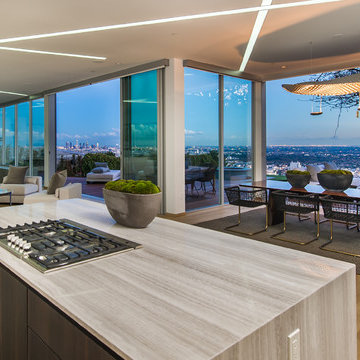 Hollywood Hills Modern