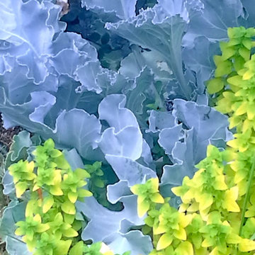 color and texture
