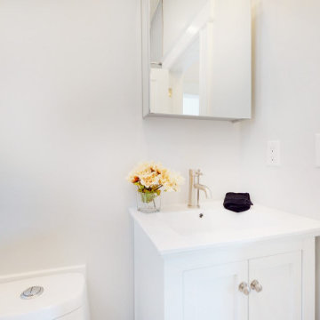 48 Hauxhurst (2 condos) Project