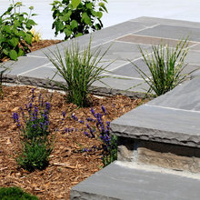 front landscaping