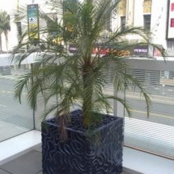 Planters & Arboreal Sculptures - Products