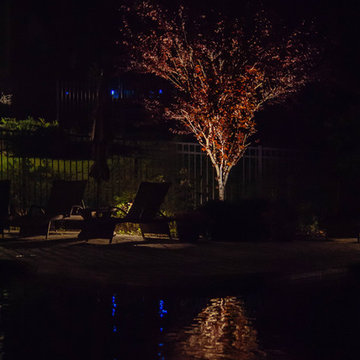 Woodland Lighting Project