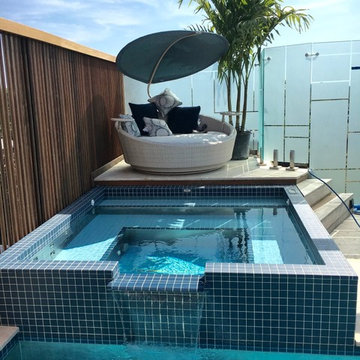 Rooftop pol project
