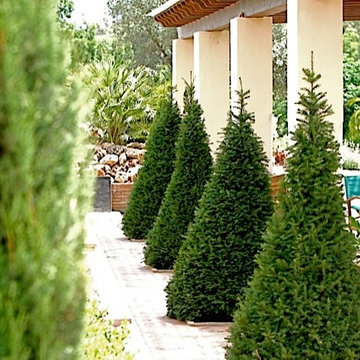 jardines del lago