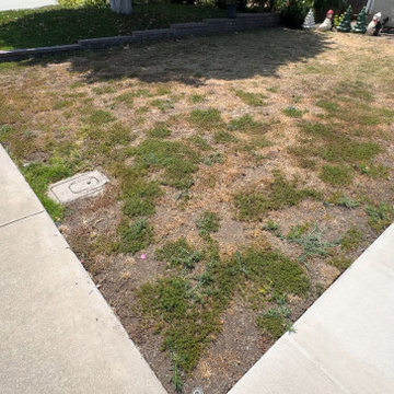 Before Picture
