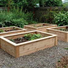 Garden over pebbles