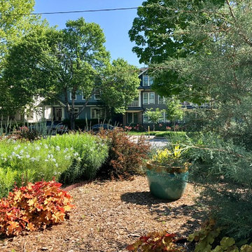 Pollinator-friendly perennials on a busy city street.