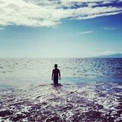 Tom Lee's photo