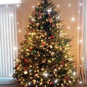 Melissa Stull's photo
