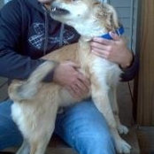 Chase Thompson's photo