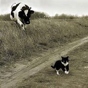 Julien Gervasoni's photo