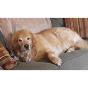 Tracy Fredey's photo