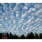 Jason Messick's photo
