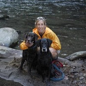 Lisa Plescia's photo