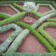 Foto de perfil de Adarve Jardines