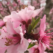 Martha Pellerin's photo