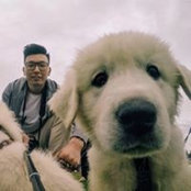 Foto von Ethan Shi