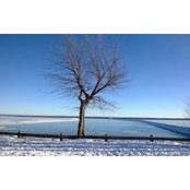 Nancy Green's photo