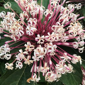 Holly Nelson's photo