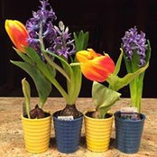Stephanie Miller's photo