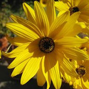 Diana Johnson's photo