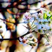 Amy Lu's photo