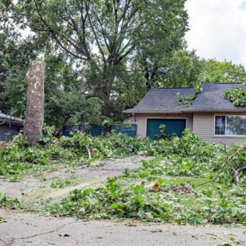 Denver Landscape & Tree Removal Service