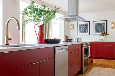 Kitchen - eclectic kitchen idea in DC Metro