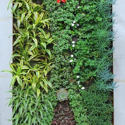 Living Wall System Residential - Outdoor Pots And Planters