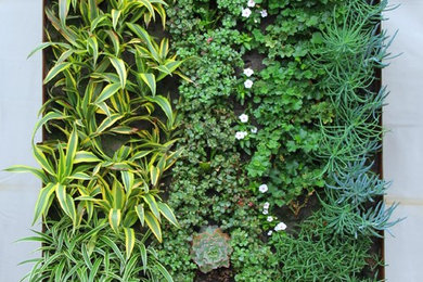 Living Wall System Residential