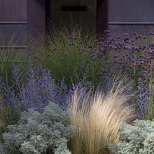 Landscape Ideas