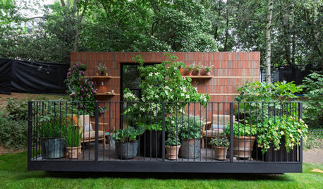 6 Small Garden Ideas from the Chelsea Flower Show 2025