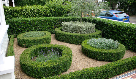 How to Look After Your Hedges – 8 Pruning and Maintenance Tips