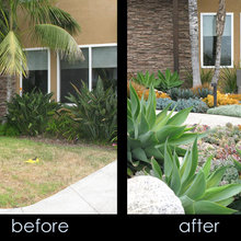 Landscape Ideas