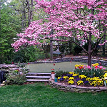 Landscape Ideas
