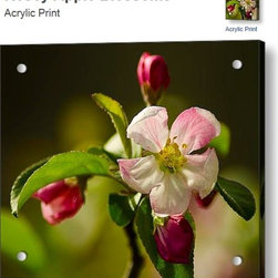 Acrylic Prints - Artwork