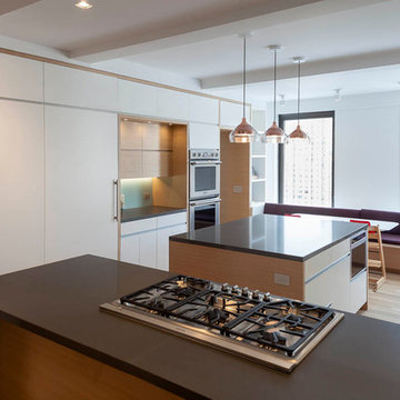 UWS Modern Family Renovation