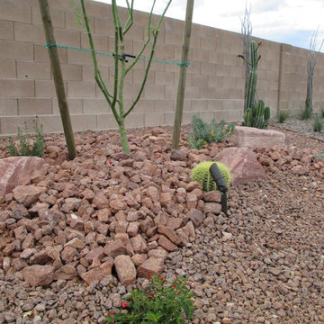 Front and Backyard Landscape