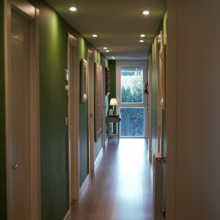 Inspiration för en mellanstor vintage hall, med gröna väggar, laminatgolv och grönt golv