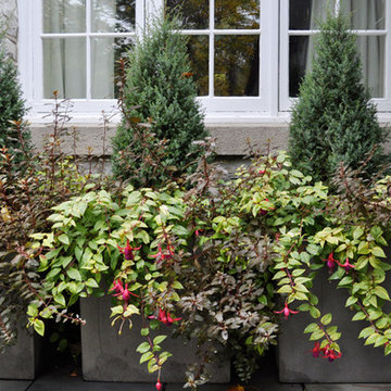 Boxwood House