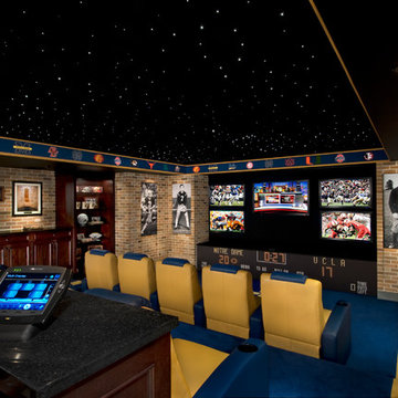 Notre Dame Inspired Home Theater