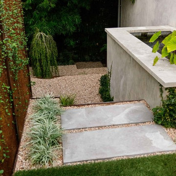 'Falling Waters' Bald Cypress and Koi Pond