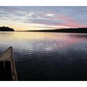Elizabeth McCay's photo