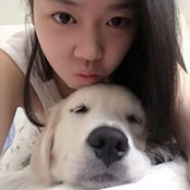 Foto di Ruohan Shi