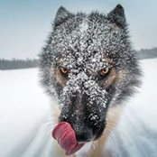 Howard Waxwood's photo