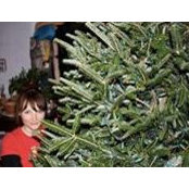 Alice Hinman's photo