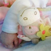 Foto von Audrey Steyaert