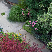 kitchen garden