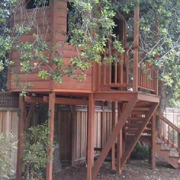Redwood Temple Treehouse