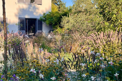 Cette photo montre un jardin nature.